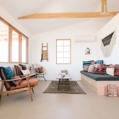 living room with cactus and white walls