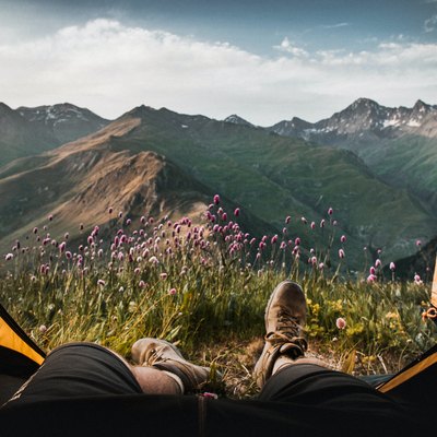 person lying in tent facing mountain and purple flowers