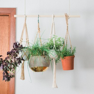 This DIY Hanging Herb Garden is ideal for small spaces.