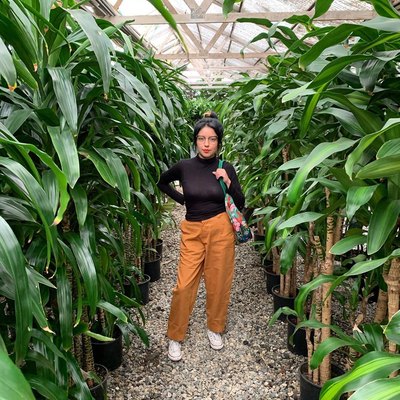 person standing amidst plants