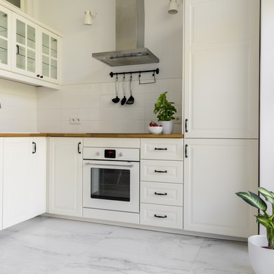 Plant in white kitchen interior with cabinets and silver cooker hood above countertop. Real photo