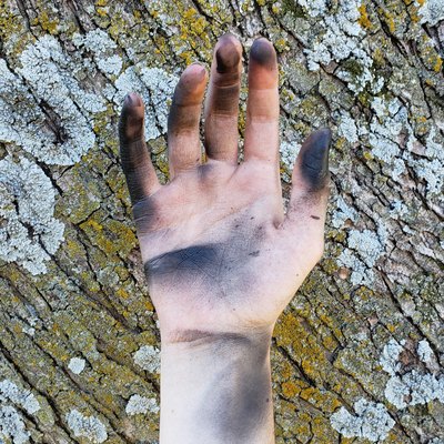 Close-Up Of Cropped Dirty Hand Against Tree Trunk With Lichens