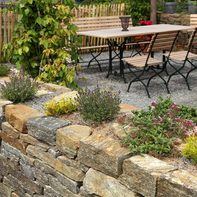 Garden wall with herbs