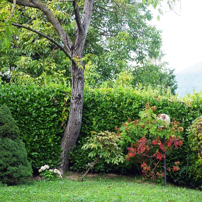 Corner of Italian garden, Bergamo.