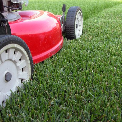 Mowing the Grass