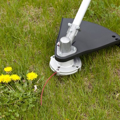 Dandelion and Weed Trimmer