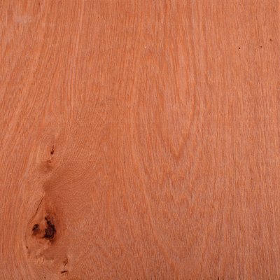 Luan or Philippine Mahogany with Knot