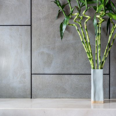 Blank modern room with vase of Lucky bamboo (Belgian evergreen)