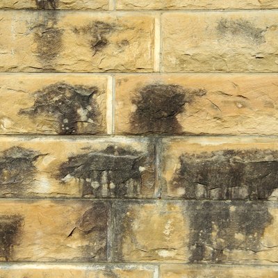 Damp sandstone wall stained with mildew