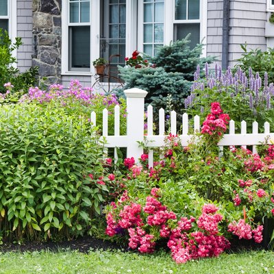 Garden and white picket fence with New England style house in background