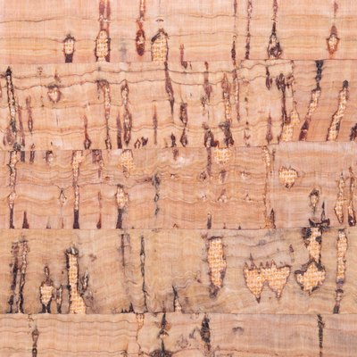 Cork background texture. Closeup of detail from natural oak cork surface used for trendy cork fashion. Beautiful cork backdrop.
