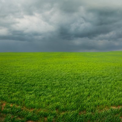 field with a bright green grass under the sky with large dark storm clouds
