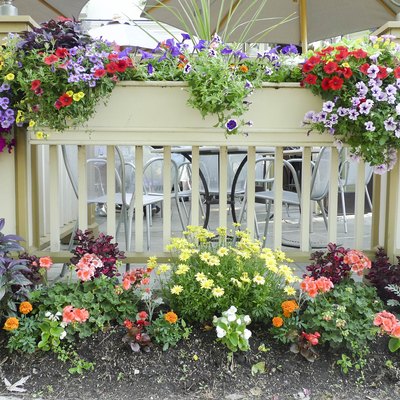 A porch with colorful flowers