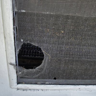 Hole in screen door.