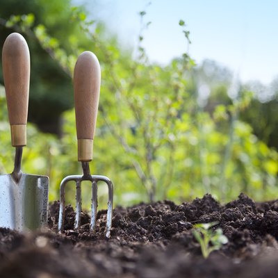 Gardening Hand Trowel and Fork Standing in Garden Soil