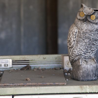 Antique Oven and Owl