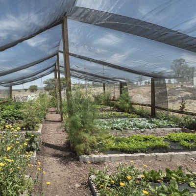 Net Shade greenhouse