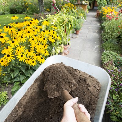Compost soil