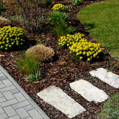 Euphorbia polychroma path through flowerbed using stepping stones made of marl sandstone bright colors blooming in flowerbed perennials yellow lawn bark edge paving concrete stepping stones