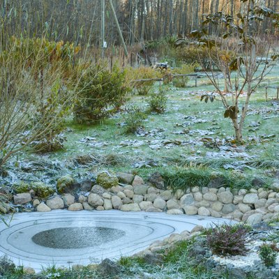 First frost in the garden.