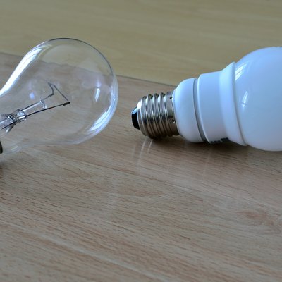 incandescent light bulb and compact fluorescent lamp
