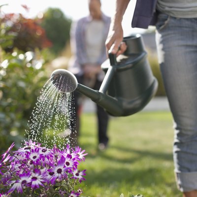 Woman watering flowers in garden with watering can