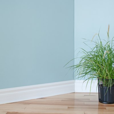 Green grass plant decorating a room