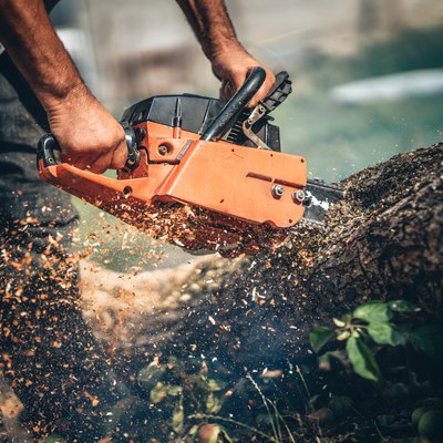 Close-up portrait of lumberjack cutting tree in the garden with gasoline chainsaw. splinters in different directions