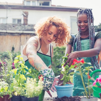 Two young woman potting plants in garden.