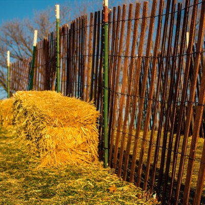 Rural landscape