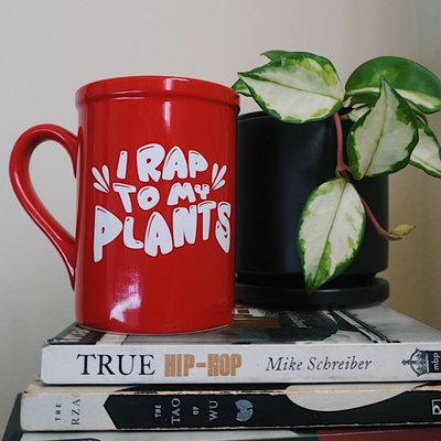 I Rap To My Plants Mug on a stack of books