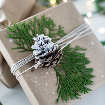 wrapped gift with pine cone gift bow