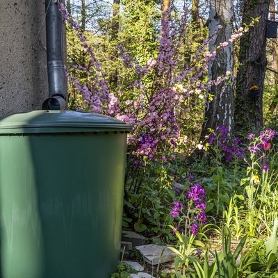 rain barrel with flowers in a garden in spring