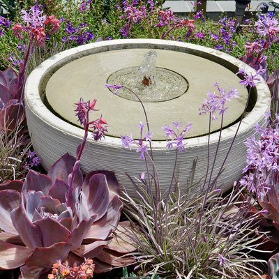 Pink hued succulents adorn a bubble water fountain.