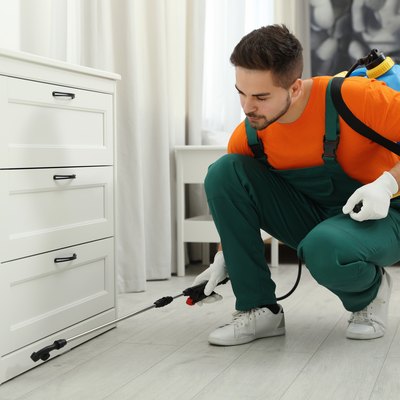 Pest control worker spraying pesticide near chest of drawers indoors.