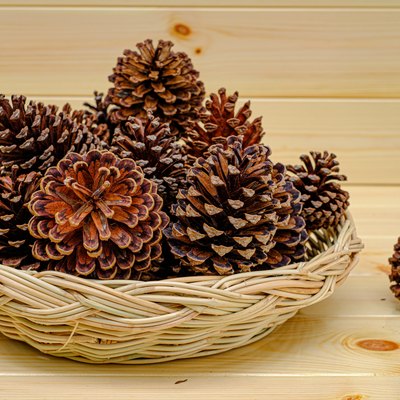 Dry pine cones in a basket on a wood table