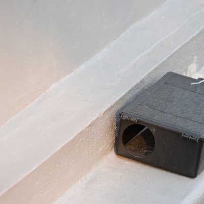 A black plastic rat trap on concrete floor. bait poison box for rat.