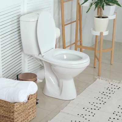 Stylish toilet bowl in bathroom interior