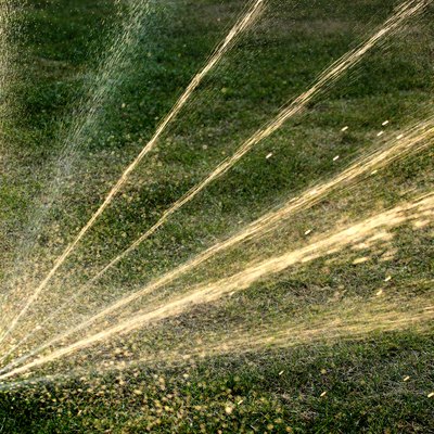 Rotating sprinkler on a green lawn