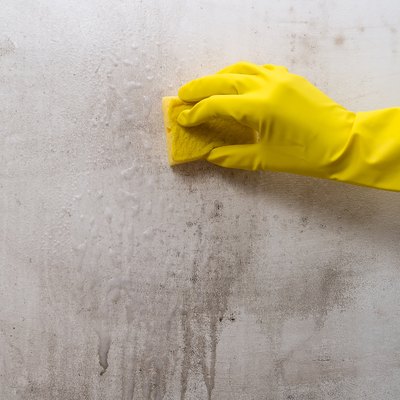 Cleaning mold off a wall.