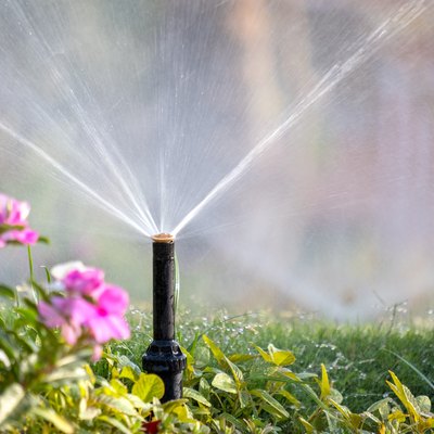 Plastic sprinkler irrigating flower bed in summer.