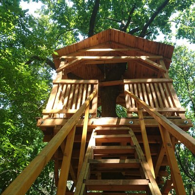 Treehouse in the forest