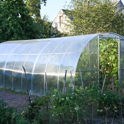 polycarbonate greenhouse on the site