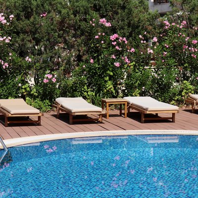 Swimming pool and deck chairs bordered by a tropical garden with oleander flowers.