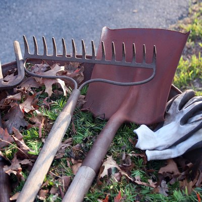 Rusty landscaping tools.