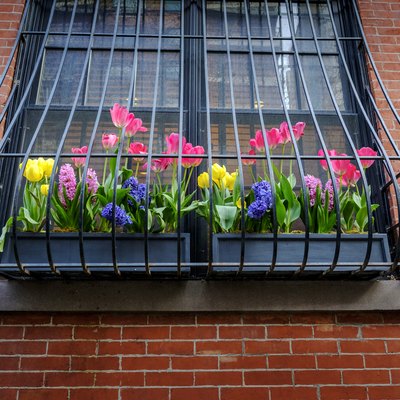 Window Flower Box in Manhattan's West Village