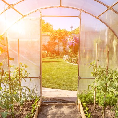 arched small greenhouse on private backyard with sun flare