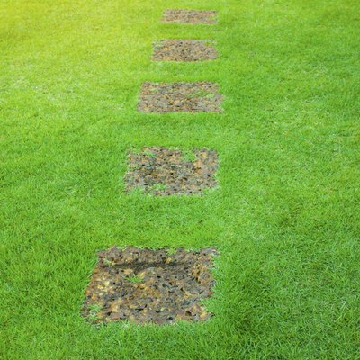 Smooth zoysia grass lawn with stepping stones.