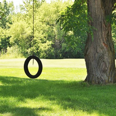 Tire swing on shade tree.