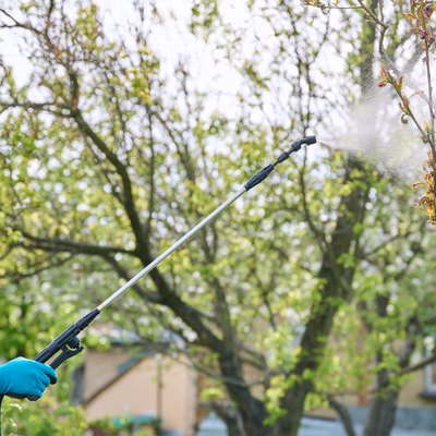Woman with backpack garden sprayer under pressure spraying peach tree. for pests and diseases.